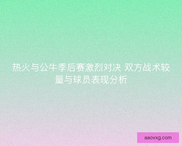 热火与公牛季后赛激烈对决 双方战术较量与球员表现分析